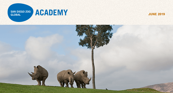 San Diego Zoo Global Academy, June 2019